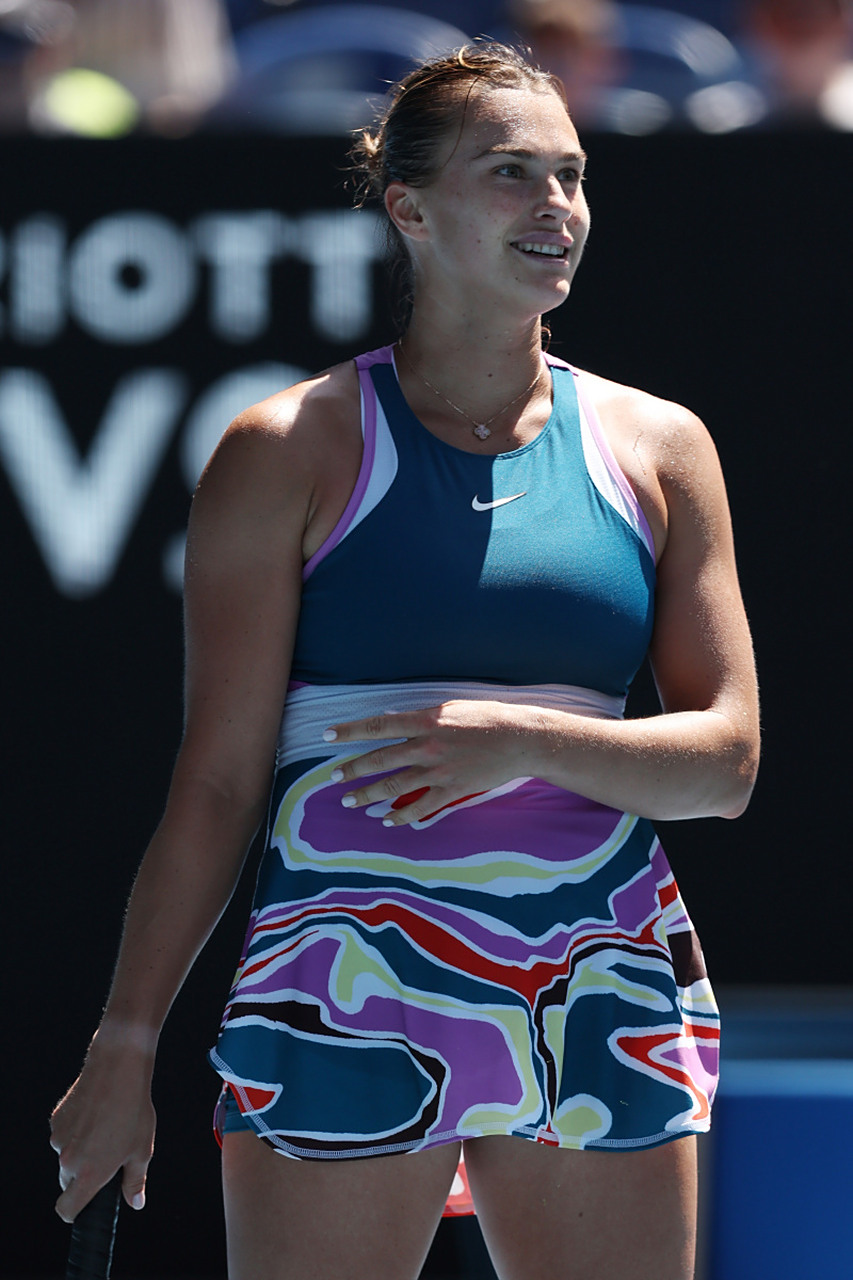 的技艺水平 的技艺水平